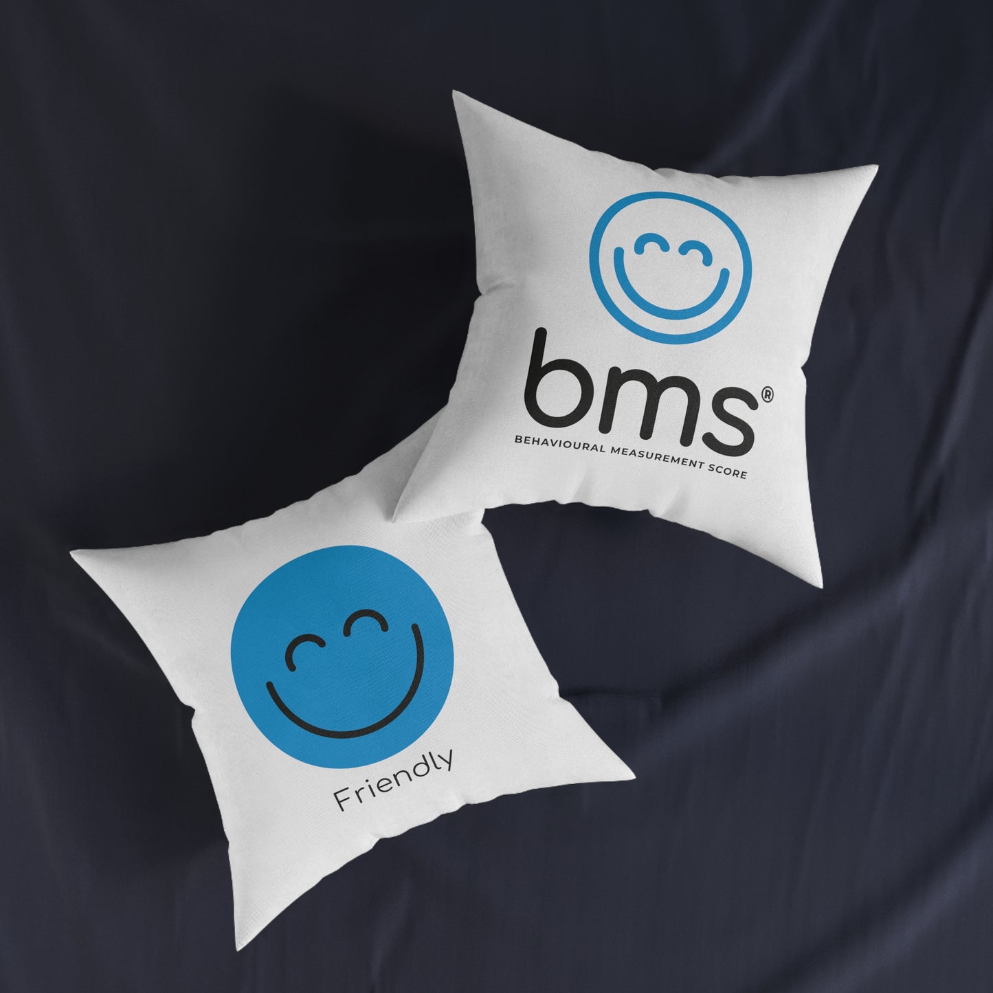 Square Pillow - Friendly